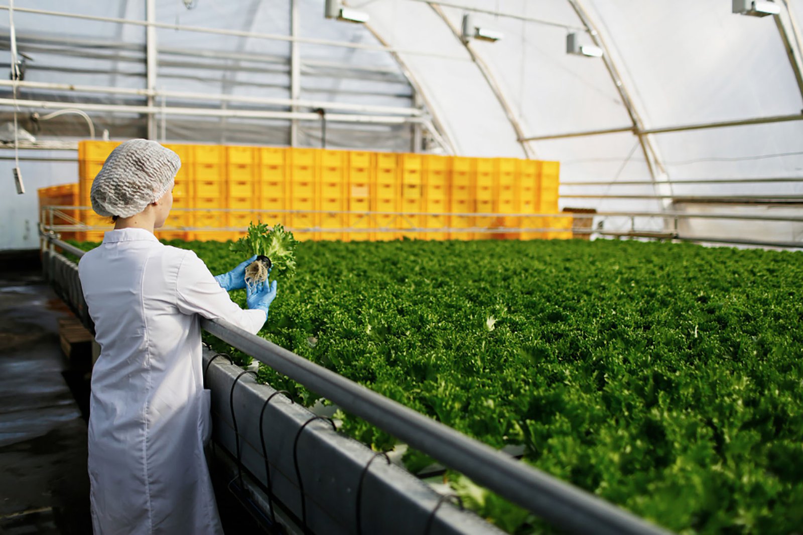Agricultural business